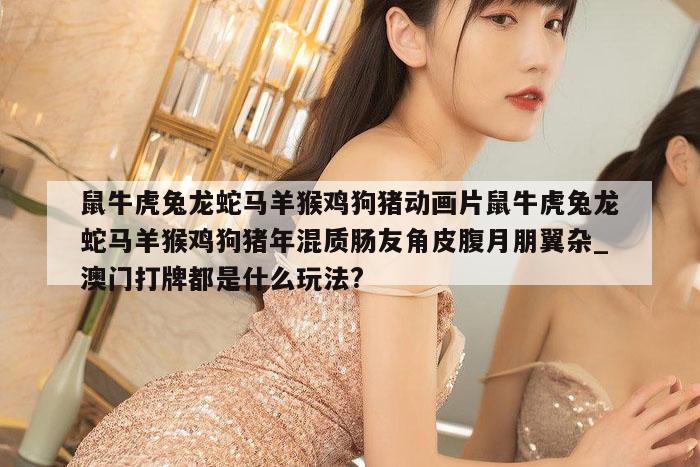 鼠牛虎兔龙蛇马羊猴鸡狗猪动画片鼠牛虎兔龙蛇马羊猴鸡狗猪年混质肠友角皮腹月朋翼杂_澳门打牌都是什么玩法?